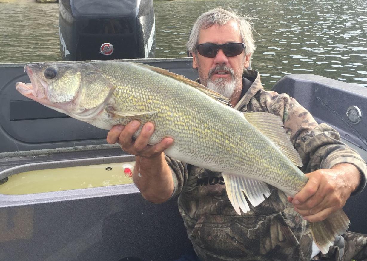 Walleye